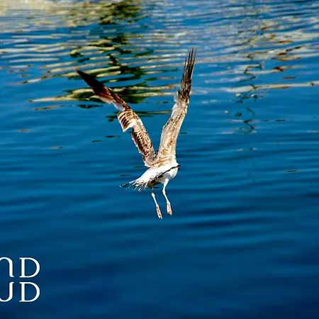 Le Soleil Couchant Vue Appartamento Le Grau-du-Roi