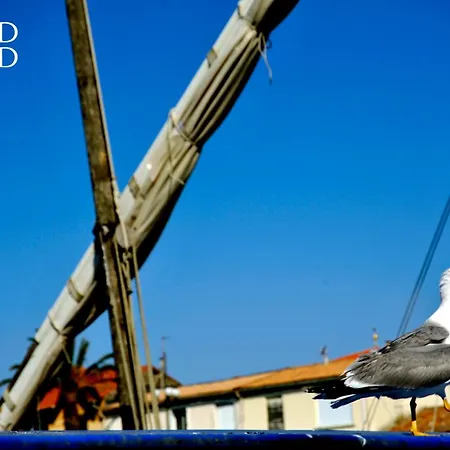 Le Soleil Couchant Vue *