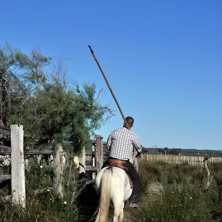 Apartamento Le Soleil Couchant Vue Le Grau-du-Roi