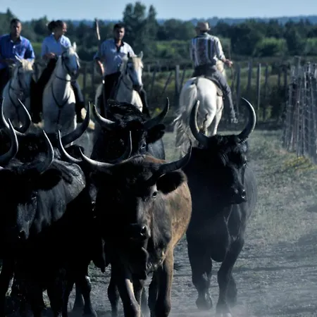 Le Soleil Couchant Vue *